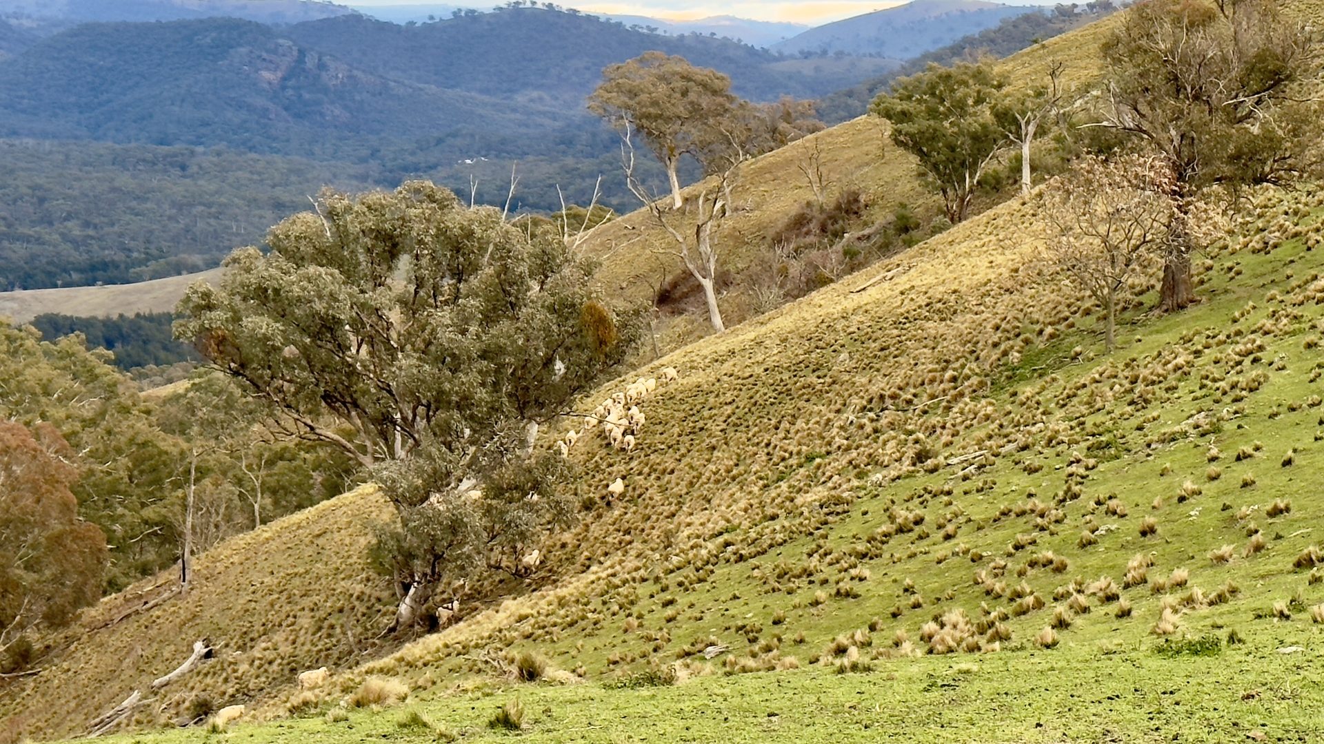 Sold - Part 4780 Ilford Sofala Road - New Property in Bathurst - Real Estate by Stewart Adlington