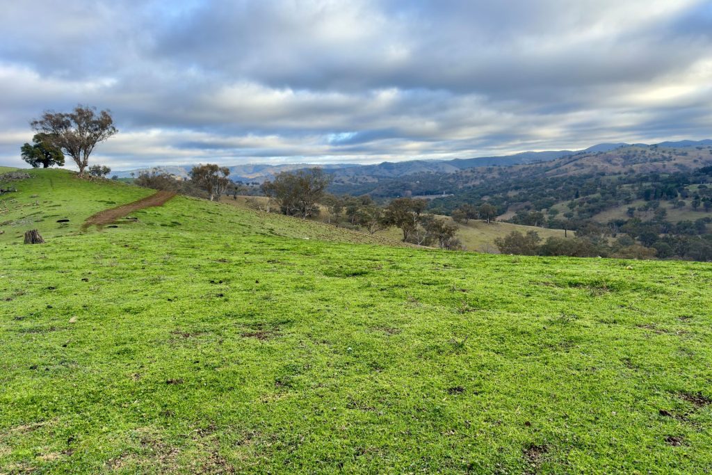 Sold - Part 4780 Ilford Sofala Road - New Property in Bathurst - Real Estate by Stewart Adlington