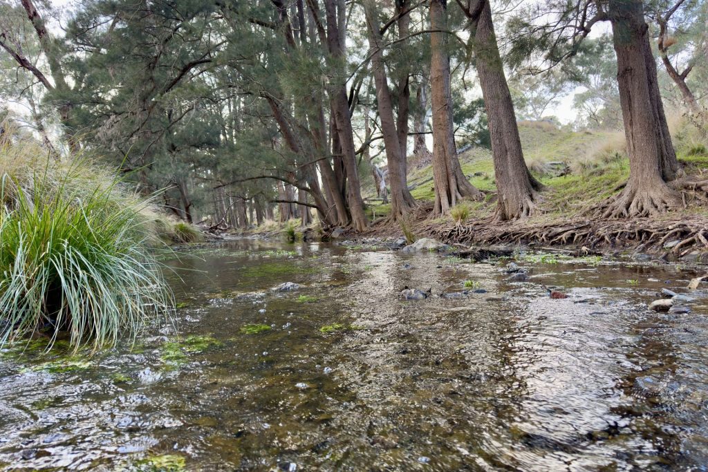 Sold - Part 4780 Ilford Sofala Road - New Property in Bathurst - Real Estate by Stewart Adlington