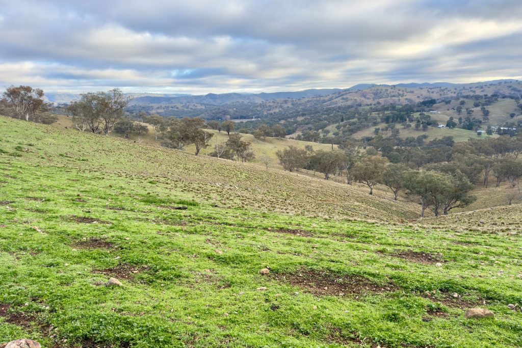Sold - Part 4780 Ilford Sofala Road - New Property in Bathurst - Real Estate by Stewart Adlington