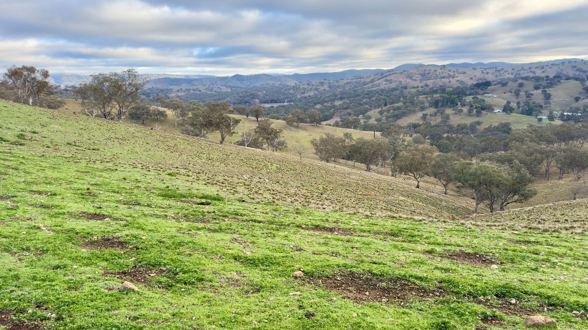 Sold - Part 4780 Ilford Sofala Road - New Property in Bathurst - Real Estate by Stewart Adlington