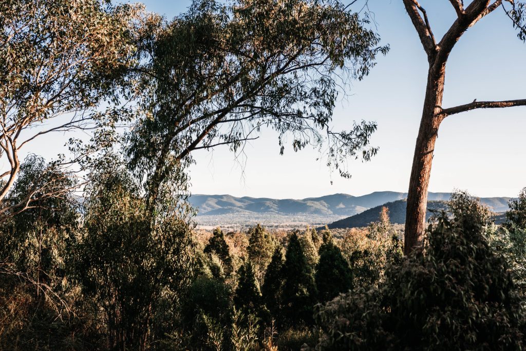 Sold - 664 Black Springs Road - New Property in Mudgee - Real Estate by Adam Woods