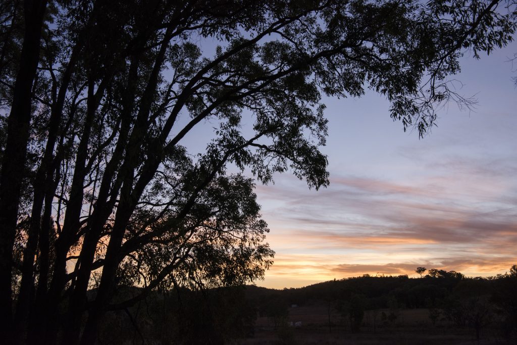 Sold - 664 Black Springs Road - New Property in Mudgee - Real Estate by Adam Woods
