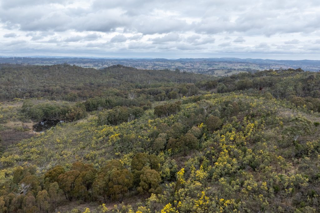 Sold -  Lot 146, 1093 Pyramul Road - New Property in Mudgee - Real Estate by Hamish Rowe