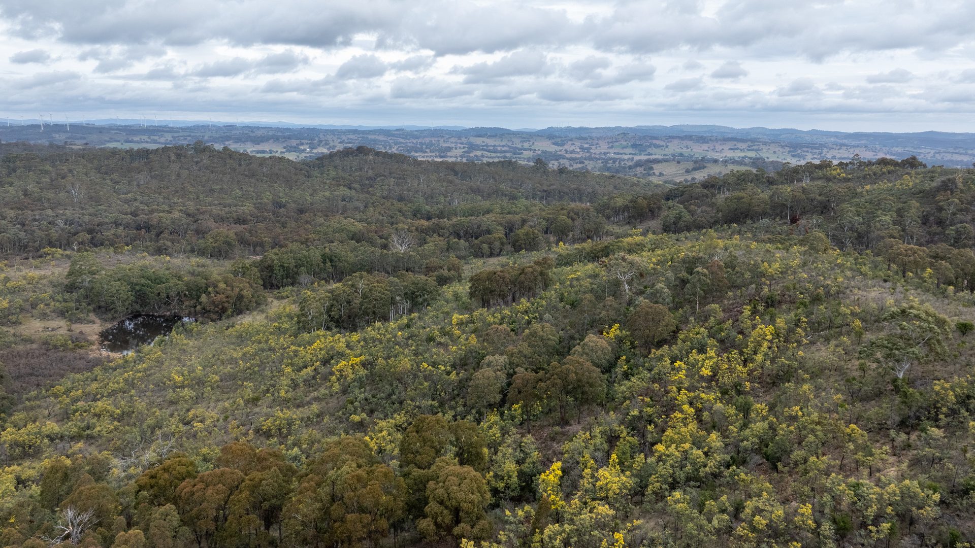 Sold -  Lot 146, 1093 Pyramul Road - New Property in Mudgee - Real Estate by Hamish Rowe