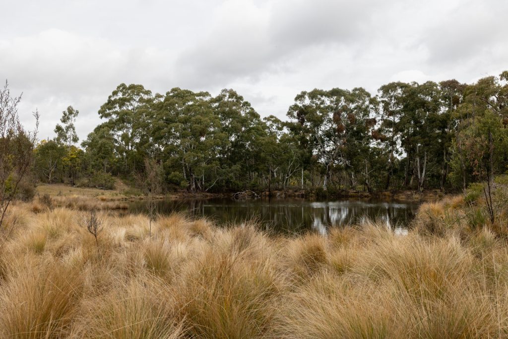Sold -  Lot 146, 1093 Pyramul Road - New Property in Mudgee - Real Estate by Hamish Rowe
