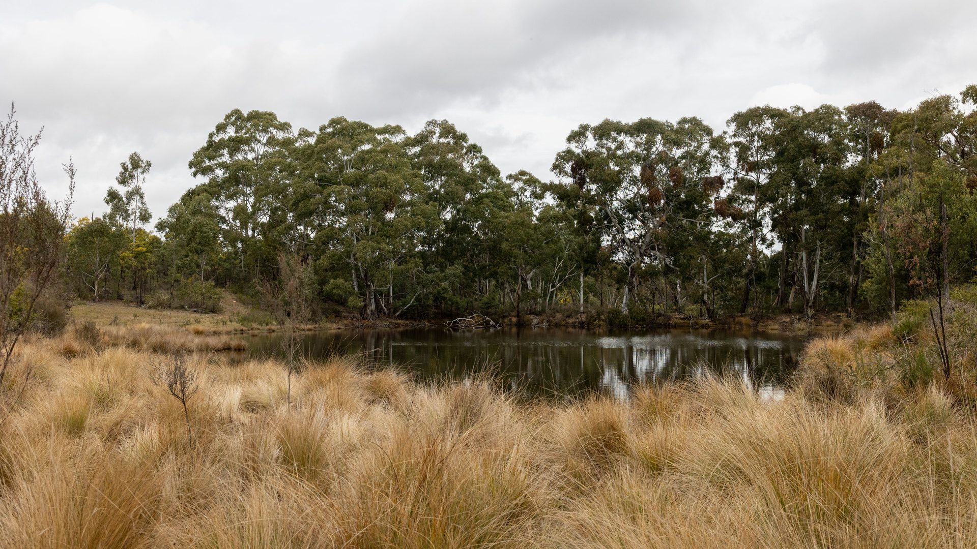 Sold -  Lot 146, 1093 Pyramul Road - New Property in Mudgee - Real Estate by Hamish Rowe
