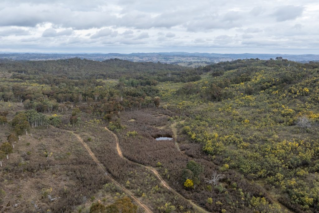 Sold -  Lot 146, 1093 Pyramul Road - New Property in Mudgee - Real Estate by Hamish Rowe
