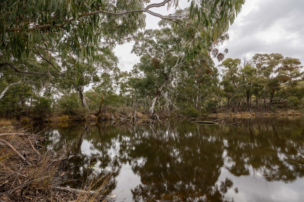 Sold -  Lot 146, 1093 Pyramul Road - New Property in Mudgee - Real Estate by Hamish Rowe