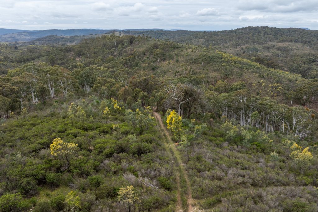 Sold -  Lot 146, 1093 Pyramul Road - New Property in Mudgee - Real Estate by Hamish Rowe