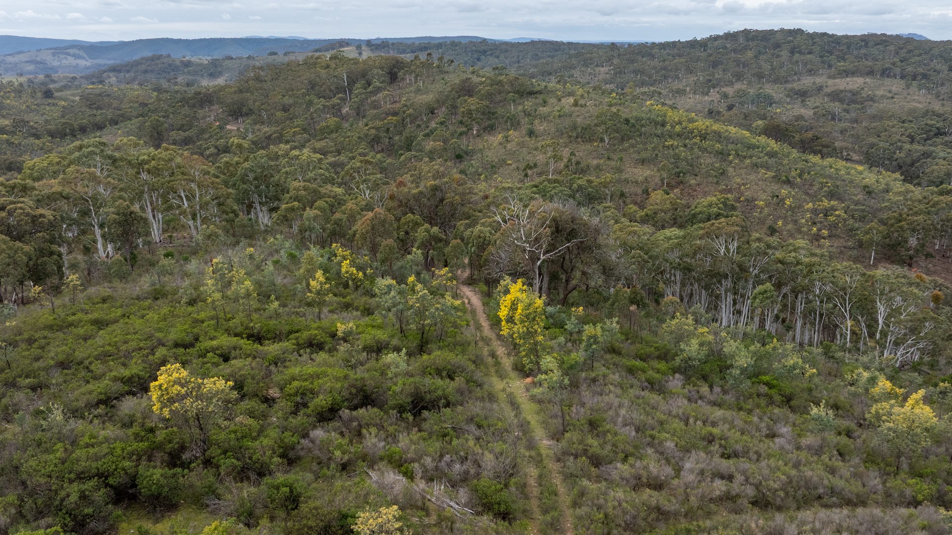 Sold -  Lot 146, 1093 Pyramul Road - New Property in Mudgee - Real Estate by Hamish Rowe