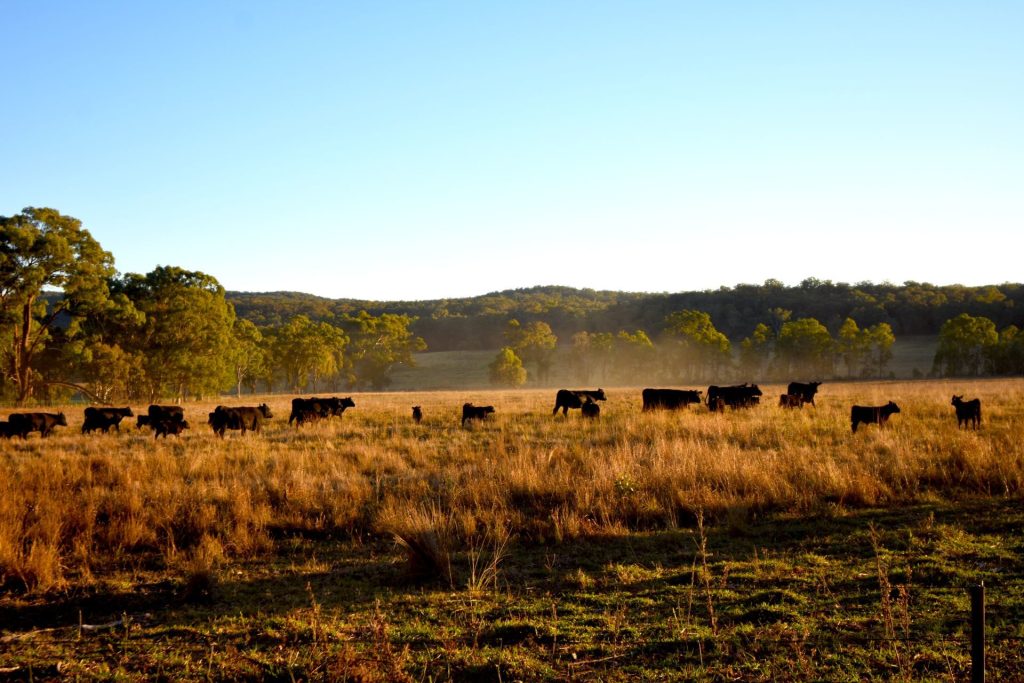 Sold - 64 Rocky Glen Lane - New Property in Mudgee - Real Estate by Stewart Adlington