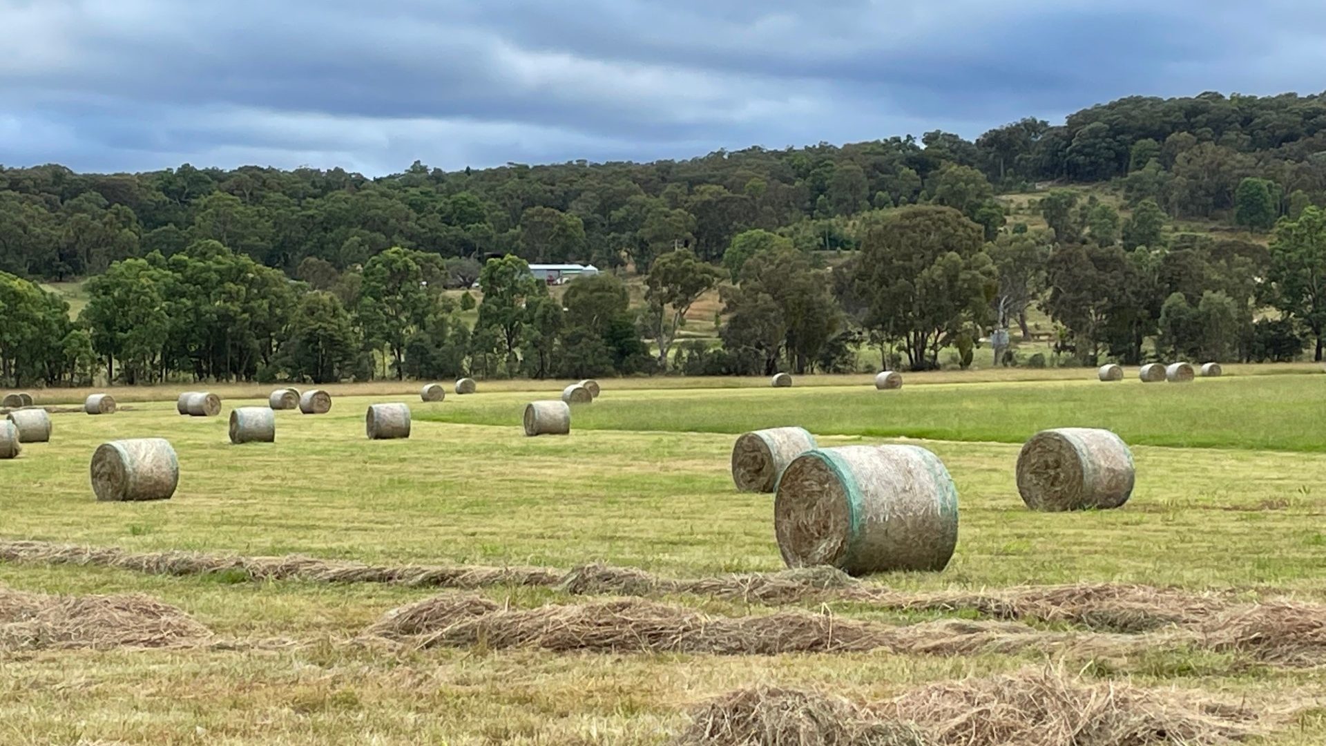 Sold - 64 Rocky Glen Lane - New Property in Mudgee - Real Estate by Stewart Adlington