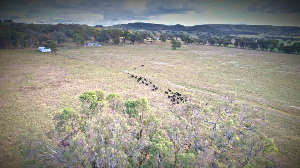 Sold - 64 Rocky Glen Lane - New Property in Mudgee - Real Estate by Stewart Adlington