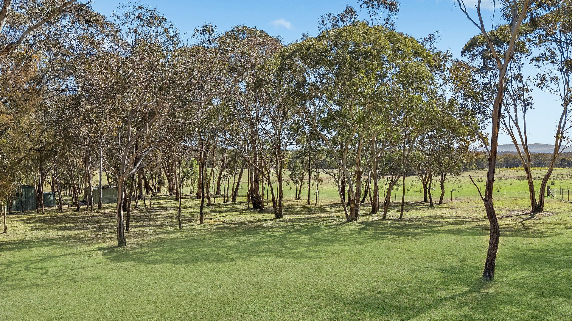 Sold - 504 Cooper Drive - New Property in Clandulla - Real Estate by Elizabeth Turner