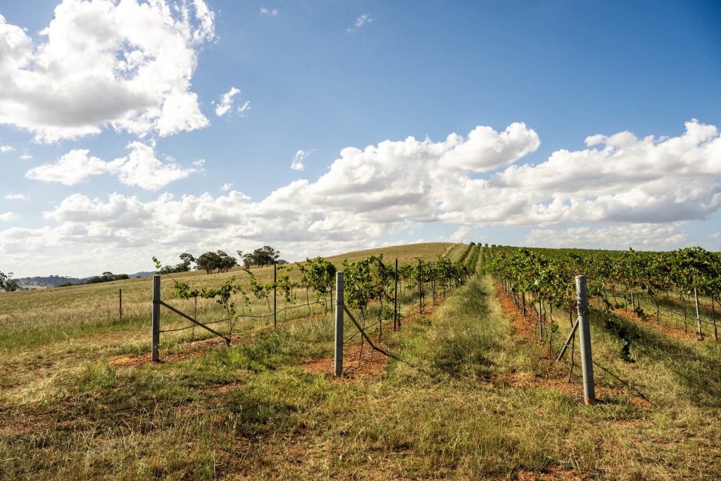Sold - 319 Tinja Lane - New Property in Mudgee - Real Estate by Adam Woods