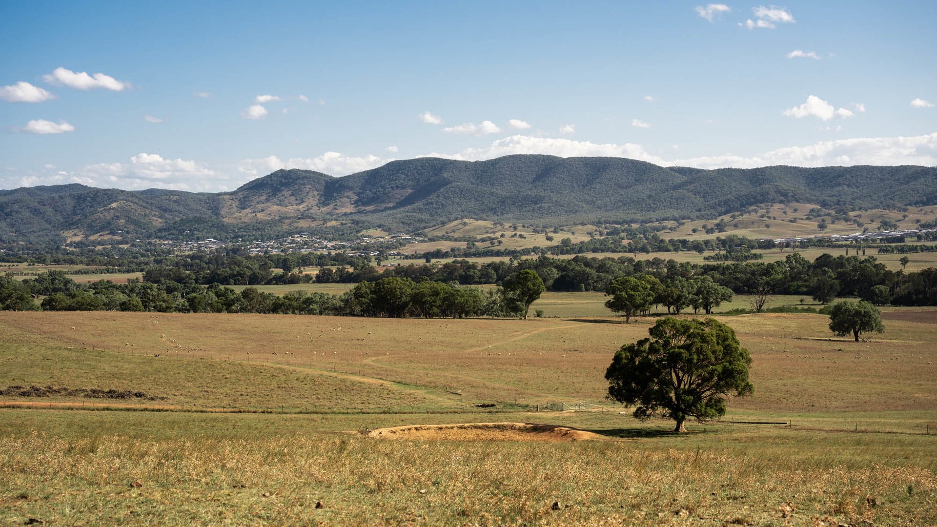 Sold - 319 Tinja Lane - New Property in Mudgee - Real Estate by Adam Woods