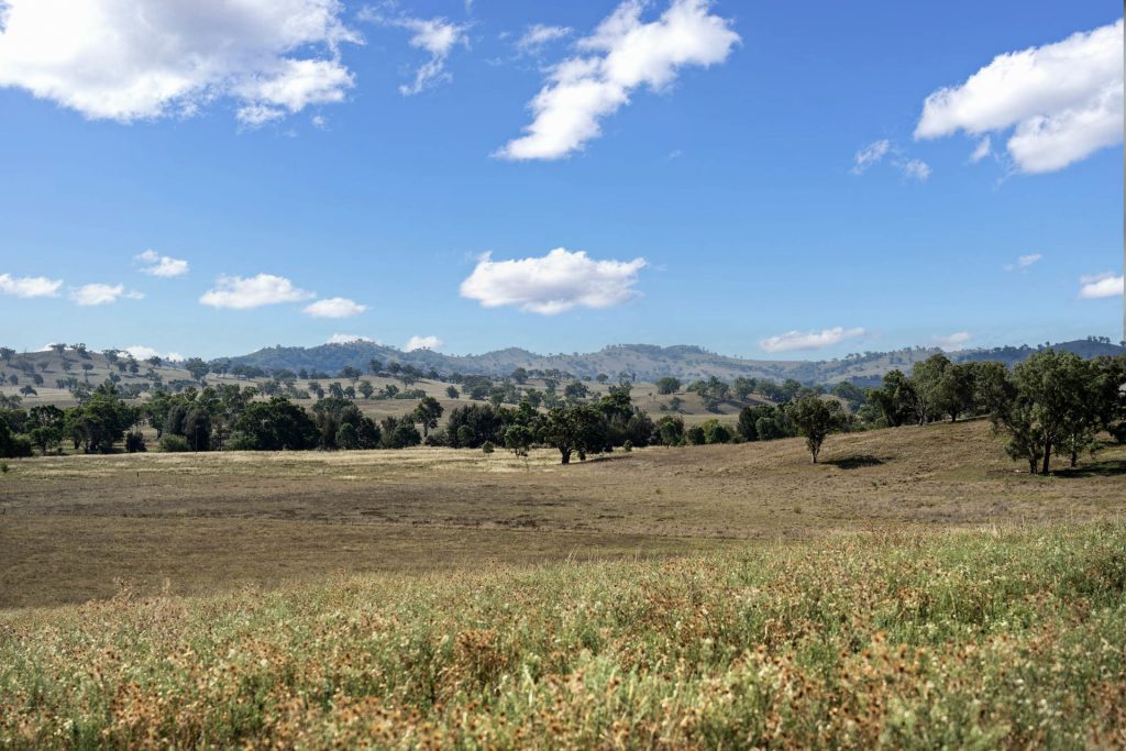 Sold - 323 Tinja Lane - New Property in Mudgee - Real Estate by Adam Woods