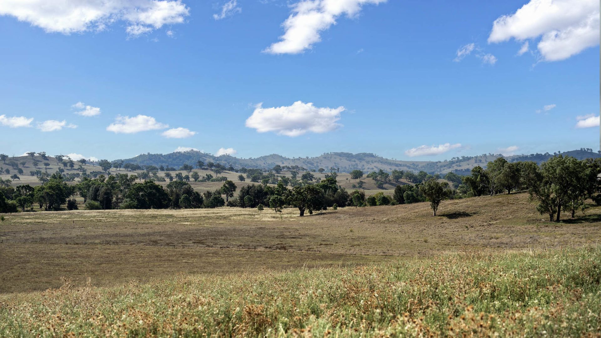 Sold - 323 Tinja Lane - New Property in Mudgee - Real Estate by Adam Woods