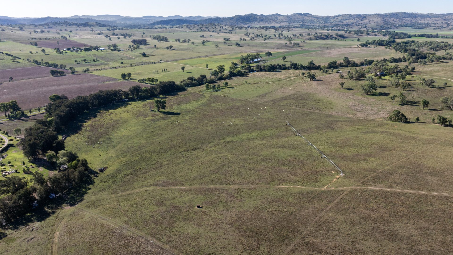 Sold - 323 Tinja Lane - New Property in Mudgee - Real Estate by Adam Woods