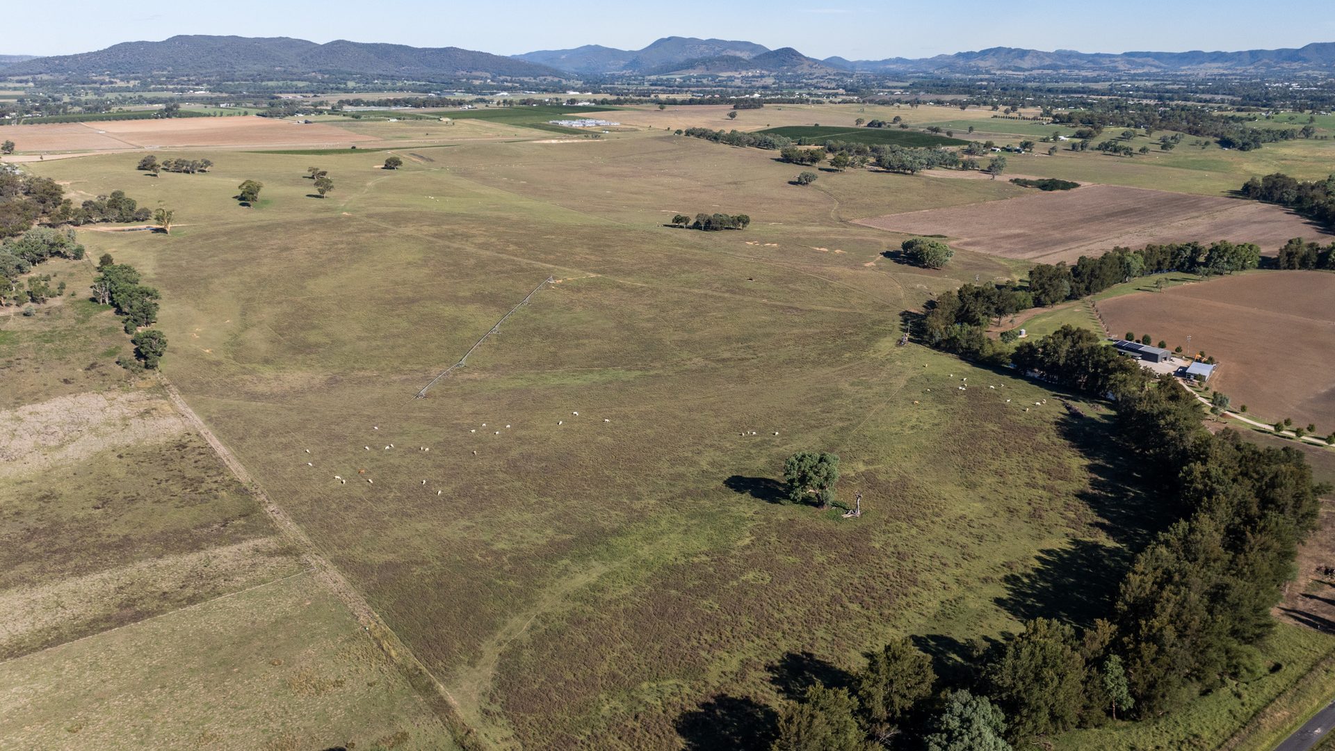 Sold - 323 Tinja Lane - New Property in Mudgee - Real Estate by Adam Woods