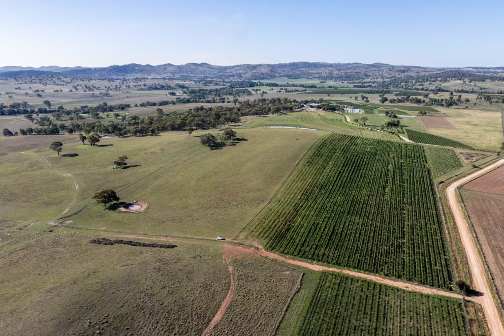 Sold - 319 Tinja Lane - New Property in Mudgee - Real Estate by Adam Woods