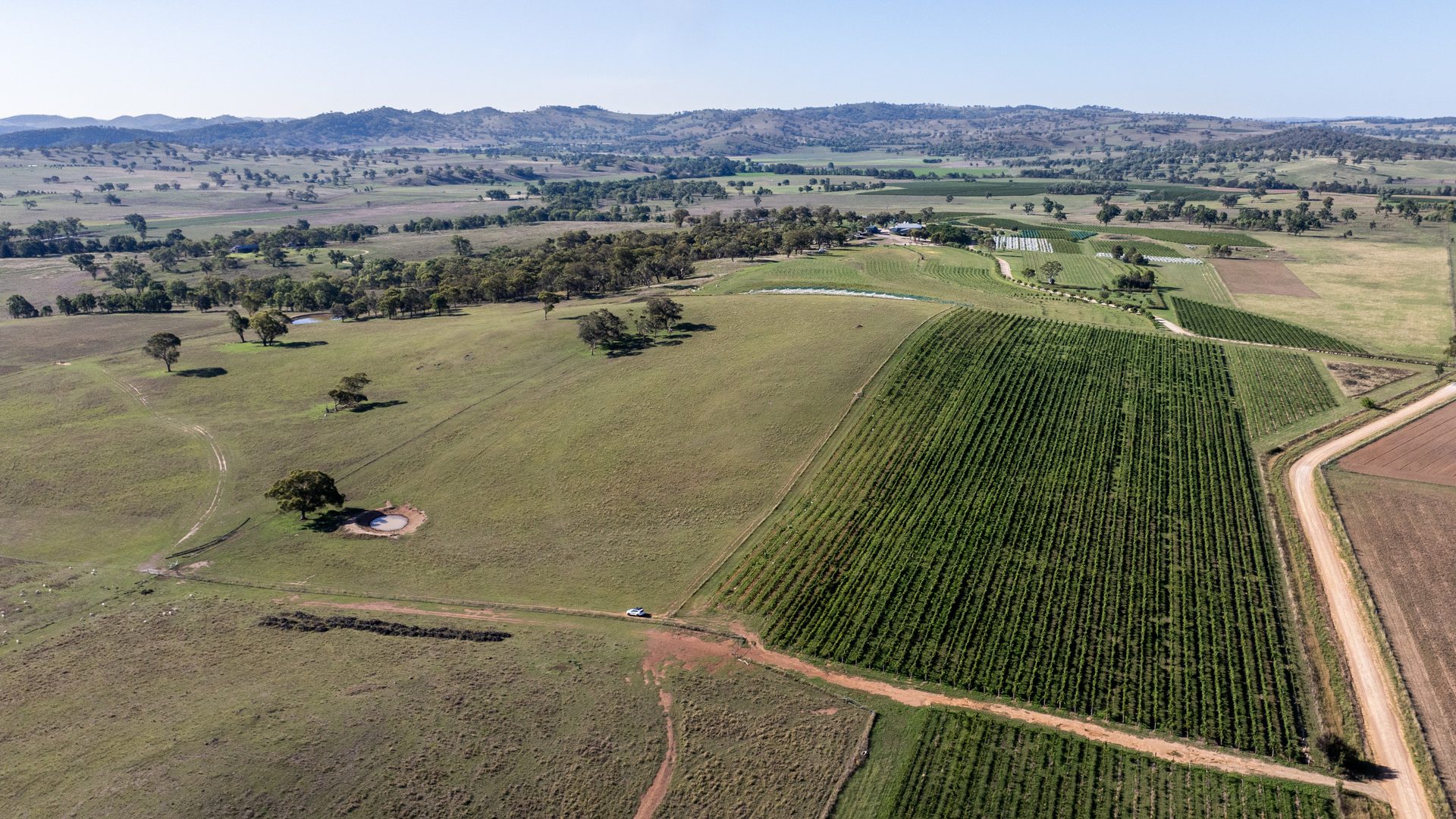 Sold - 319 Tinja Lane - New Property in Mudgee - Real Estate by Adam Woods