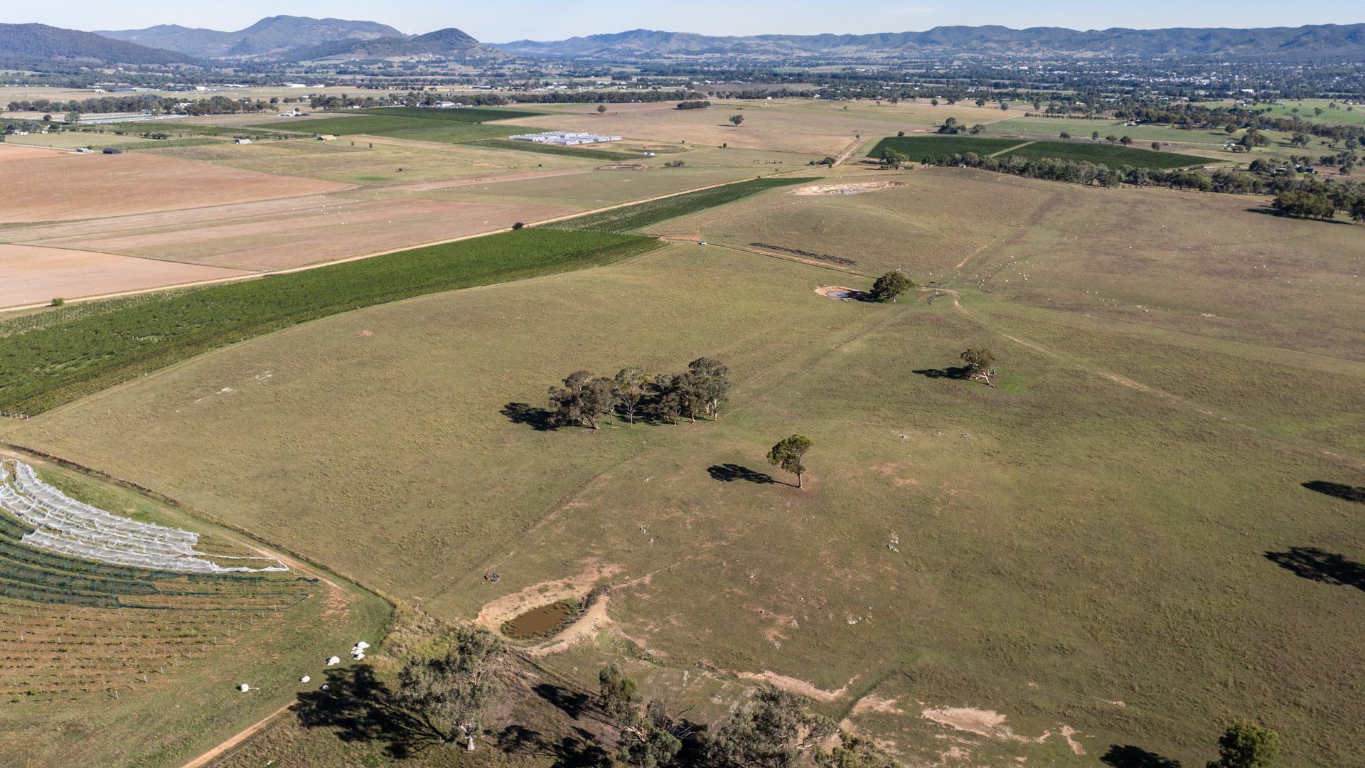 Sold - 319 Tinja Lane - New Property in Mudgee - Real Estate by Adam Woods