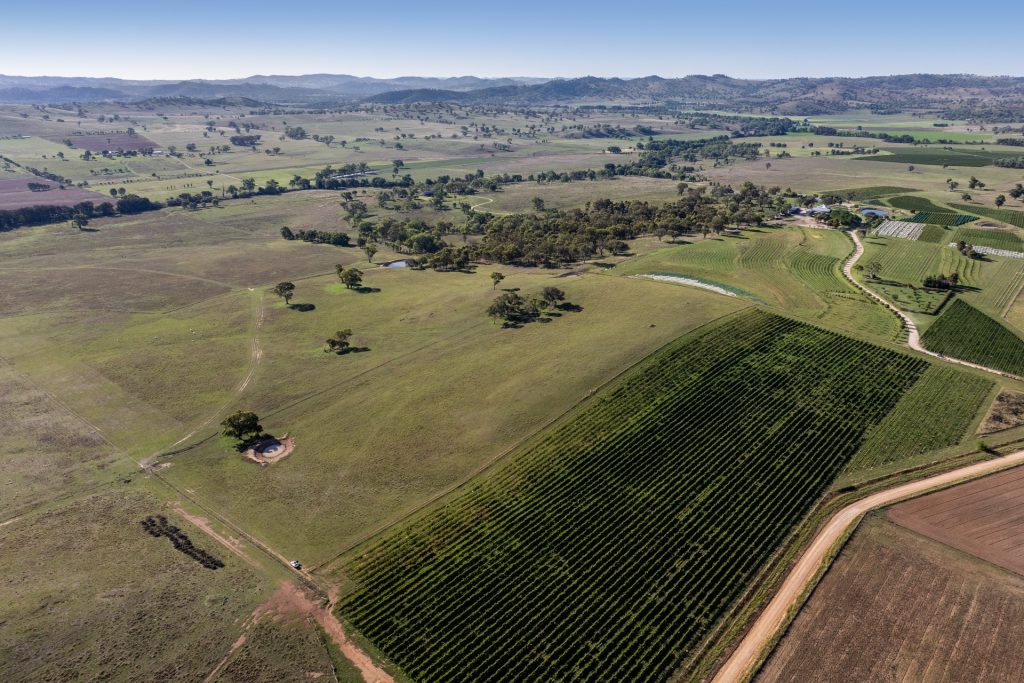 Sold - 319 Tinja Lane - New Property in Mudgee - Real Estate by Adam Woods