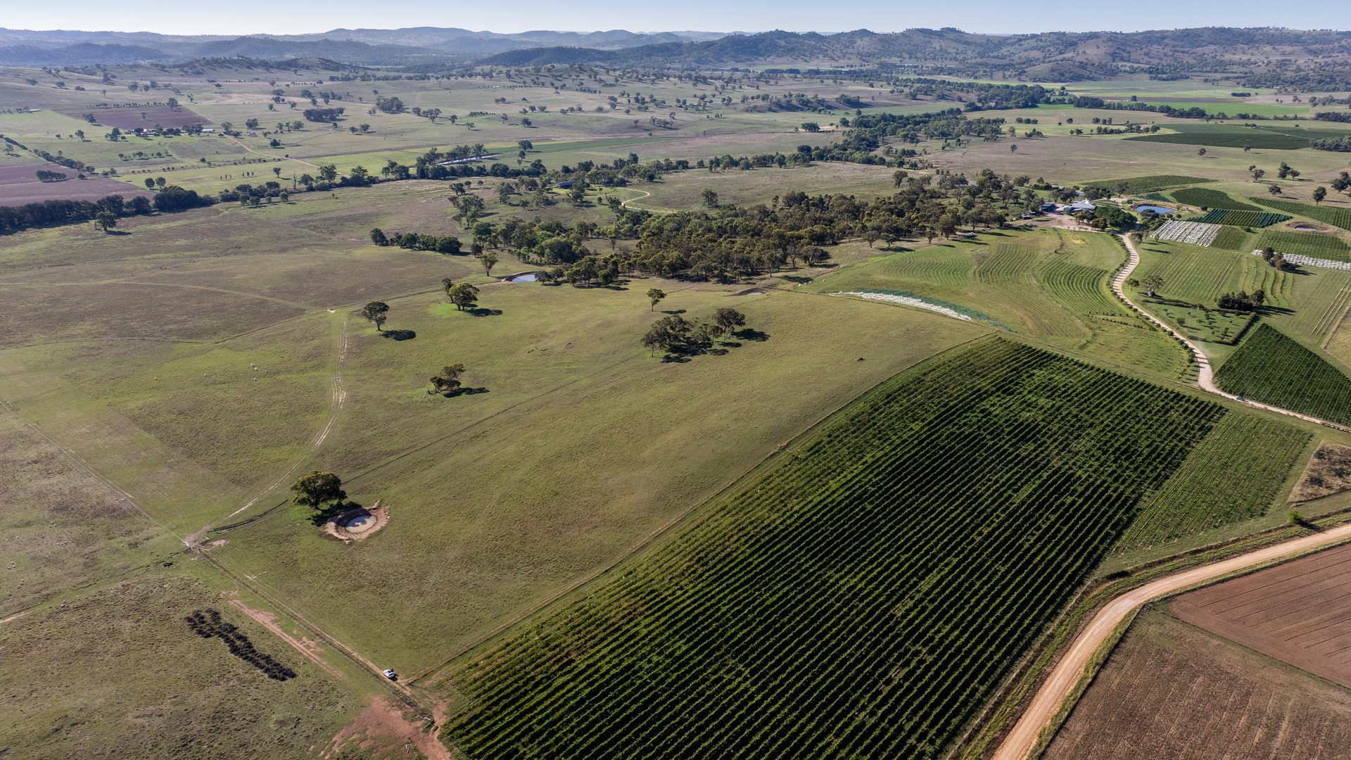 Sold - 319 Tinja Lane - New Property in Mudgee - Real Estate by Adam Woods
