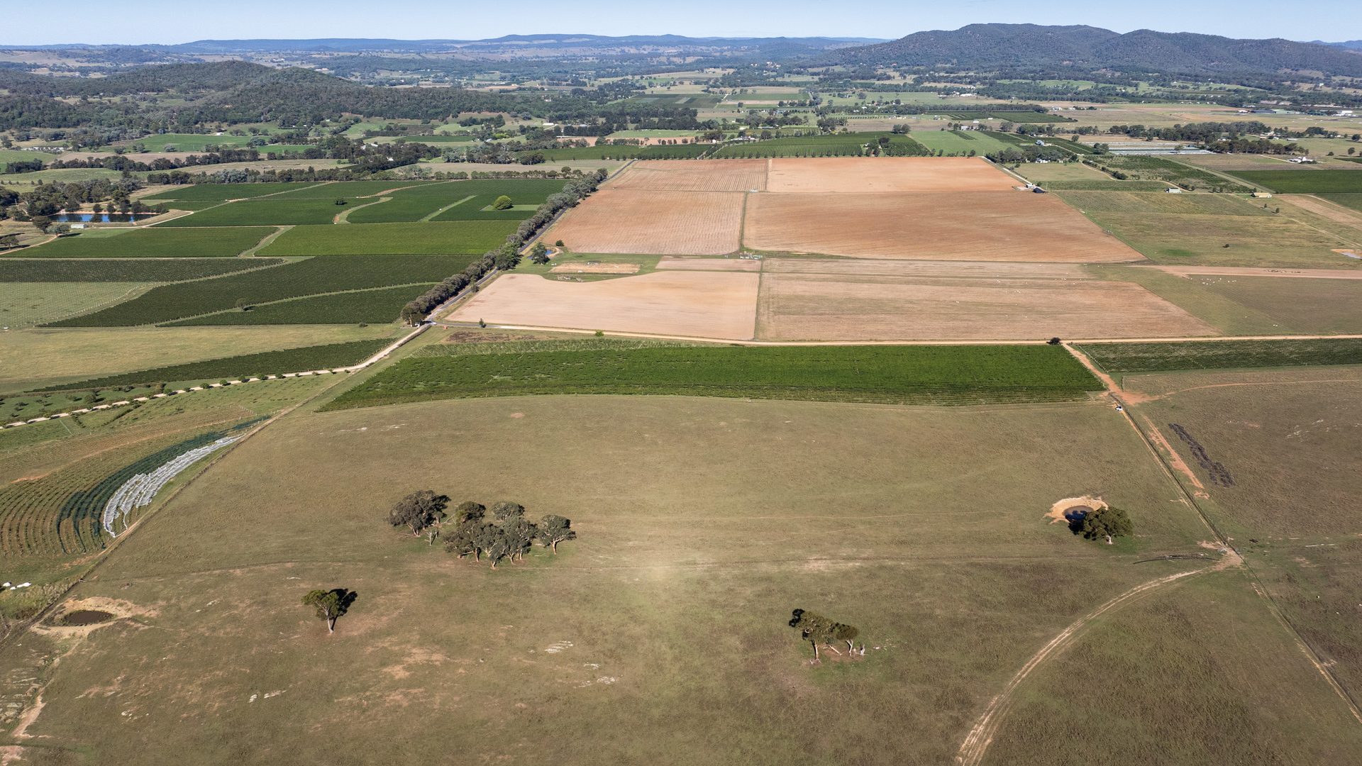 Sold - 319 Tinja Lane - New Property in Mudgee - Real Estate by Adam Woods