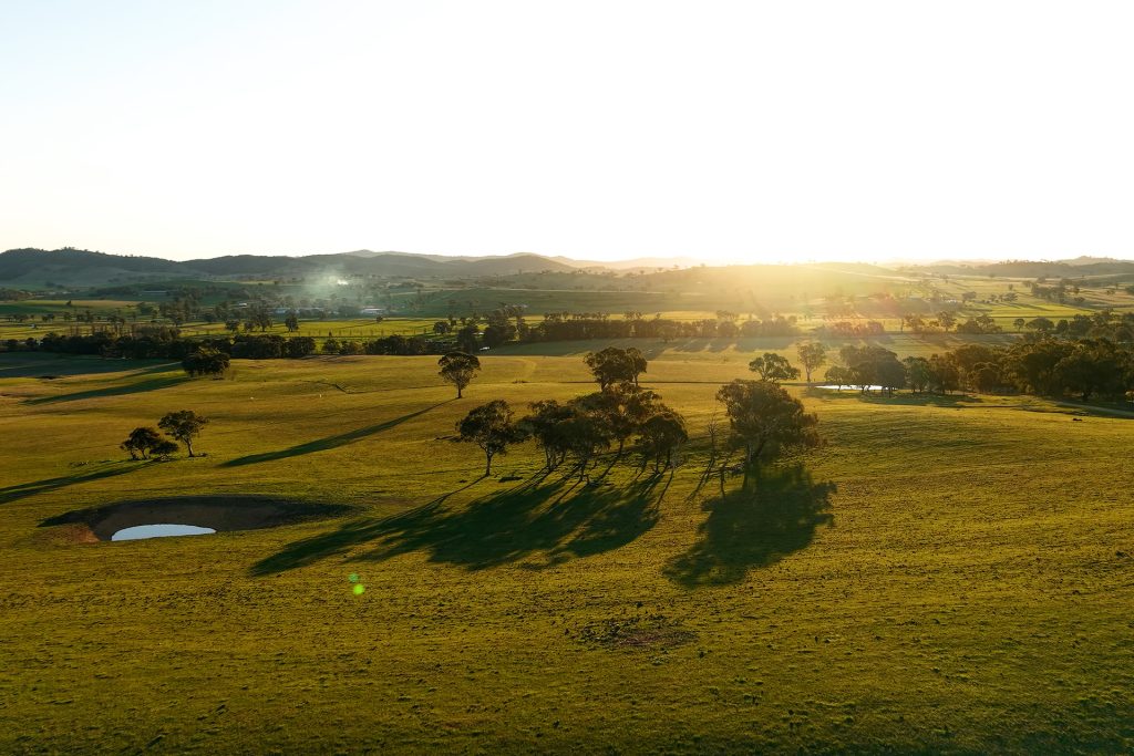 Sold - 319 Tinja Lane - New Property in Mudgee - Real Estate by Adam Woods