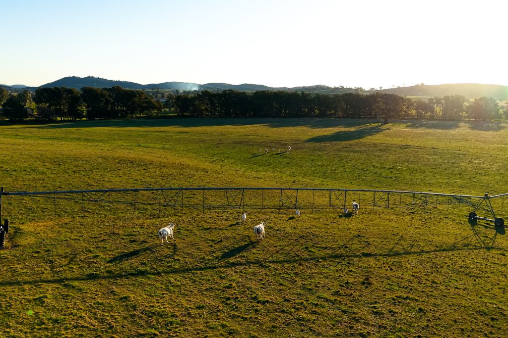 Sold - 323 Tinja Lane - New Property in Mudgee - Real Estate by Adam Woods