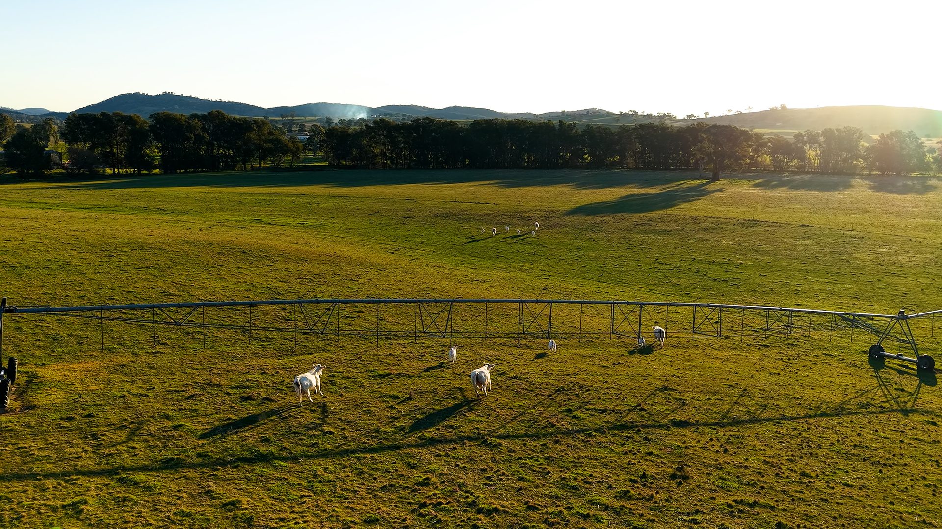 Sold - 323 Tinja Lane - New Property in Mudgee - Real Estate by Adam Woods