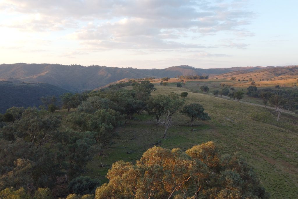Sold - 1933 Ullamalla Road, Ullamalla via - New Property in Mudgee - Real Estate by Adam Woods