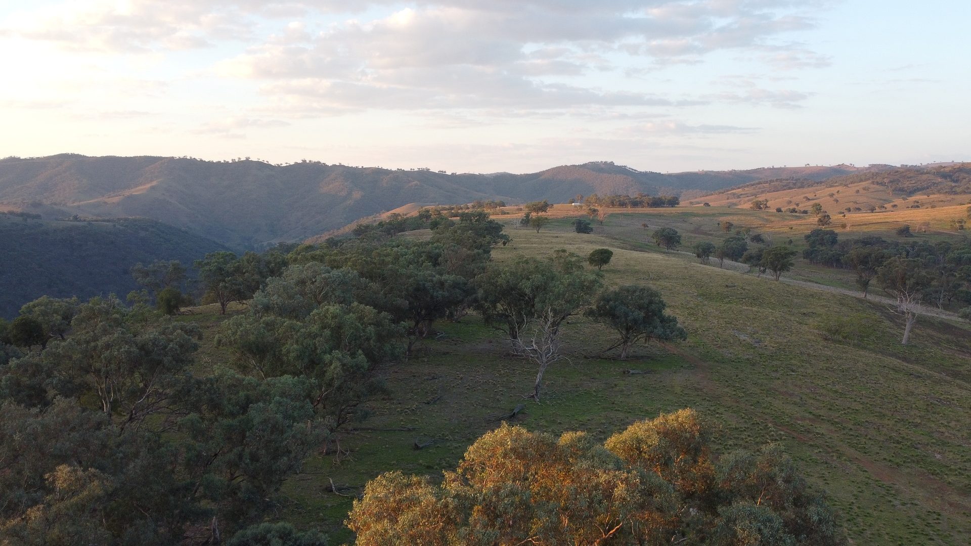 Sold - 1933 Ullamalla Road, Ullamalla via - New Property in Mudgee - Real Estate by Adam Woods