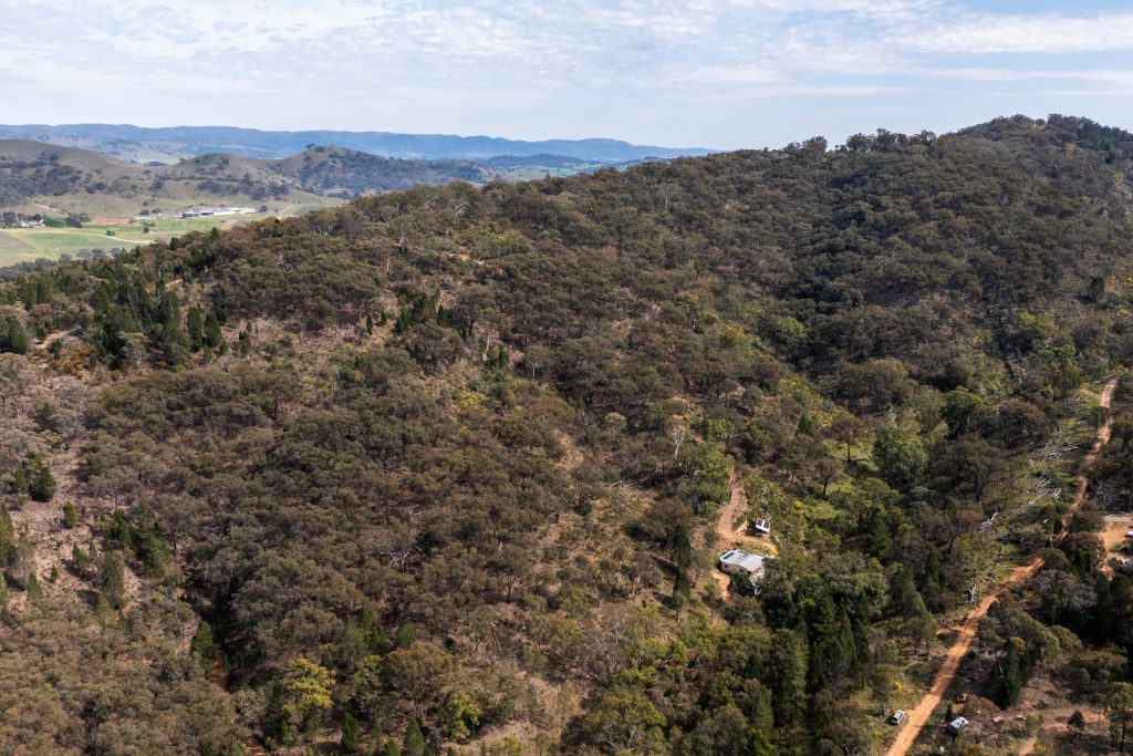 Sold - 55 Peach Tree Lane - New Property in Mudgee - Real Estate by Adam Woods