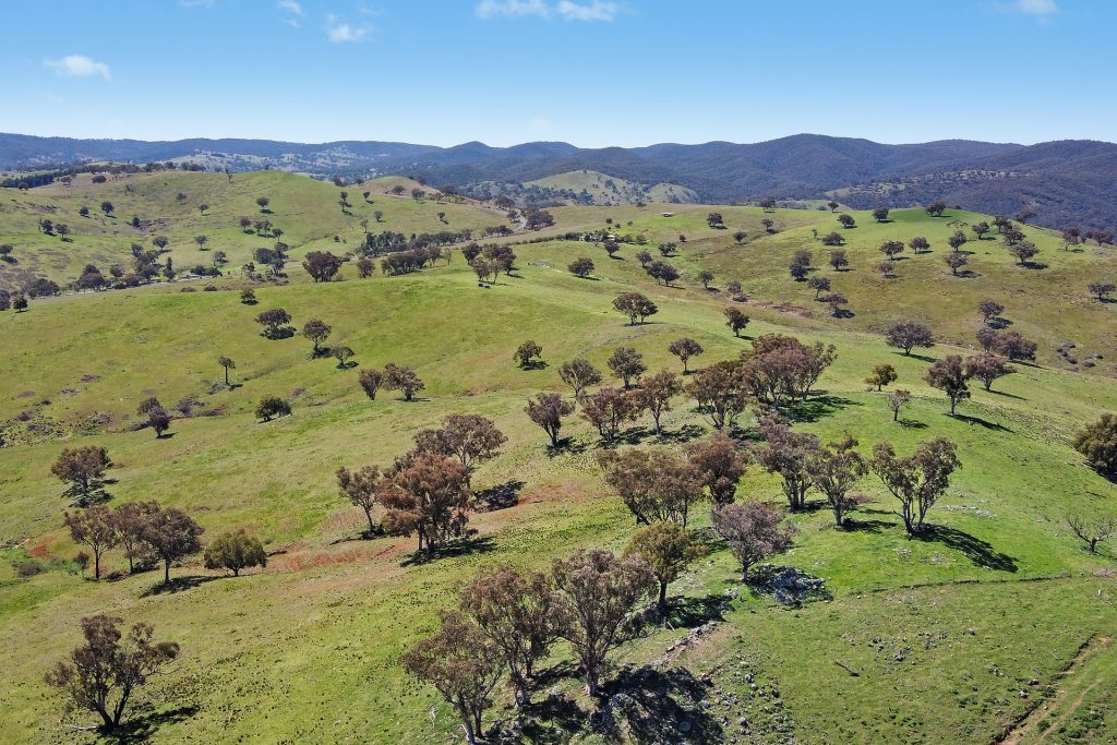 Sold -  Lots 5 & 131, Part 4780 Ilford Sofala Road - New Property in Bathurst - Real Estate by Stewart Adlington