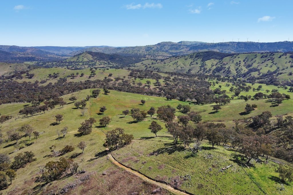 Sold -  Lots 5 & 131, Part 4780 Ilford Sofala Road - New Property in Bathurst - Real Estate by Stewart Adlington