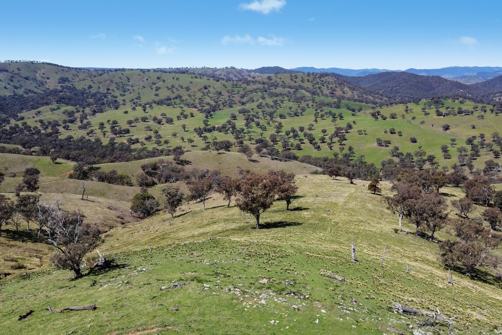 Sold -  Lots 5 & 131, Part 4780 Ilford Sofala Road - New Property in Bathurst - Real Estate by Stewart Adlington