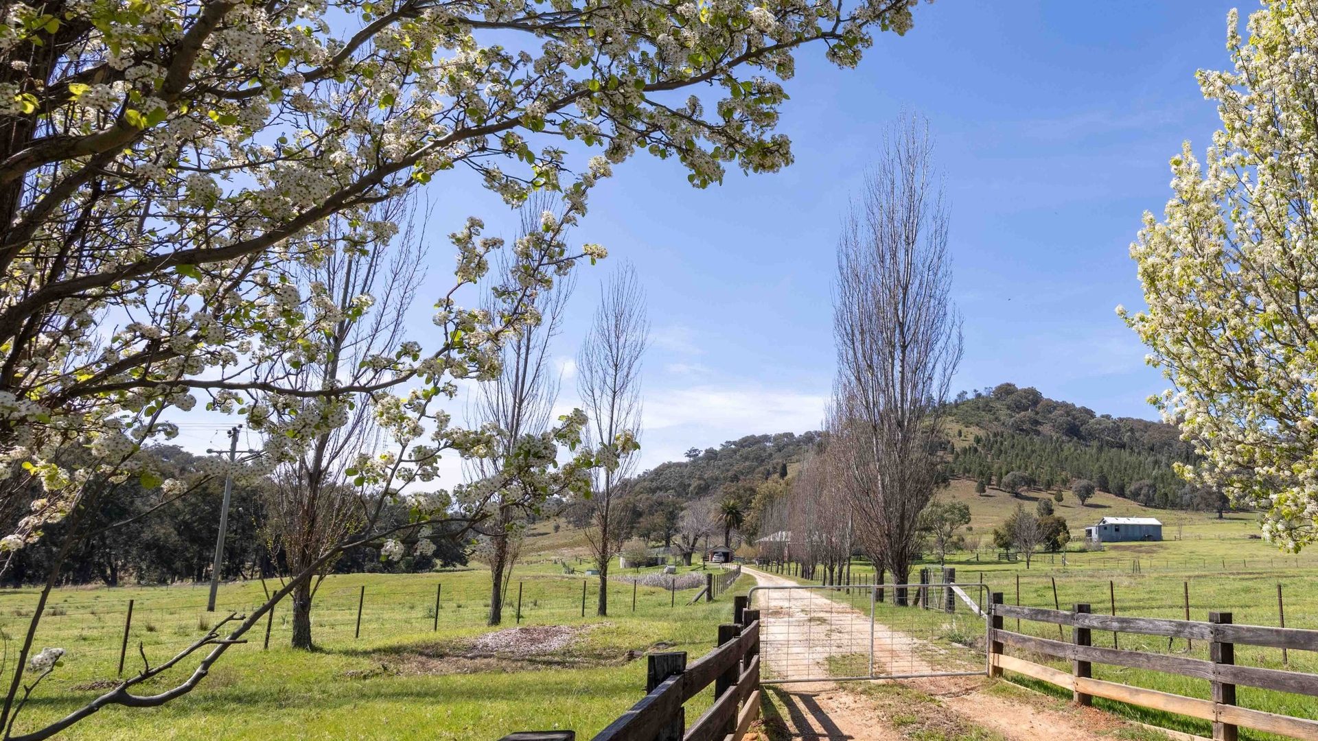 Sold - 2099 Hill End Road - New Property in Mudgee - Real Estate by Stewart Adlington