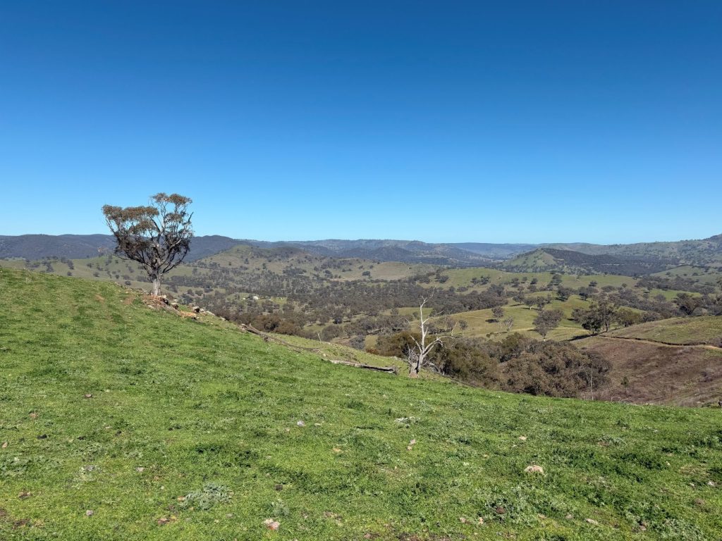 Sold -  Lots 5 & 131, Part 4780 Ilford Sofala Road - New Property in Bathurst - Real Estate by Stewart Adlington