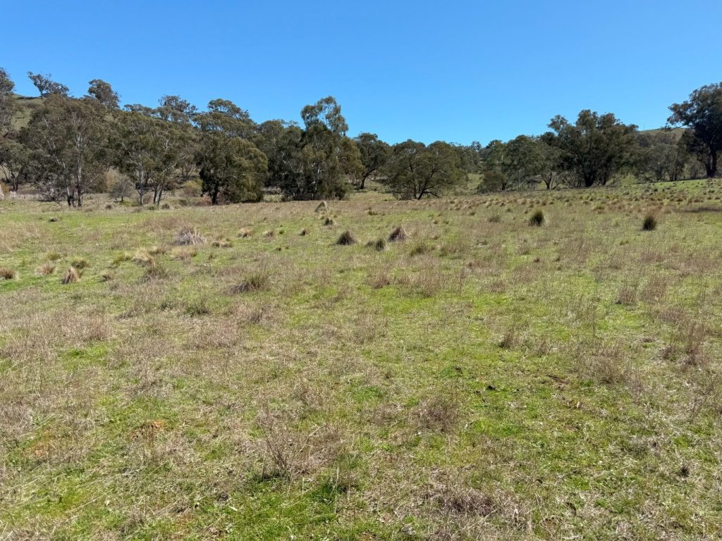 Sold -  Lots 5 & 131, Part 4780 Ilford Sofala Road - New Property in Bathurst - Real Estate by Stewart Adlington