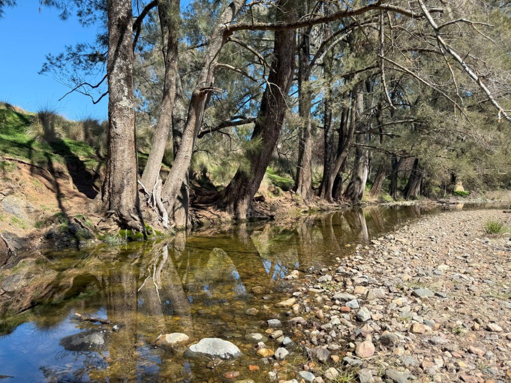 Sold -  Lots 5 & 131, Part 4780 Ilford Sofala Road - New Property in Bathurst - Real Estate by Stewart Adlington