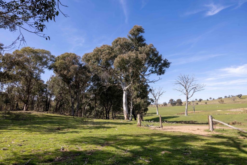 Sold - 528 Gundowda Road - New Property in Mudgee - Real Estate by Hamish Rowe