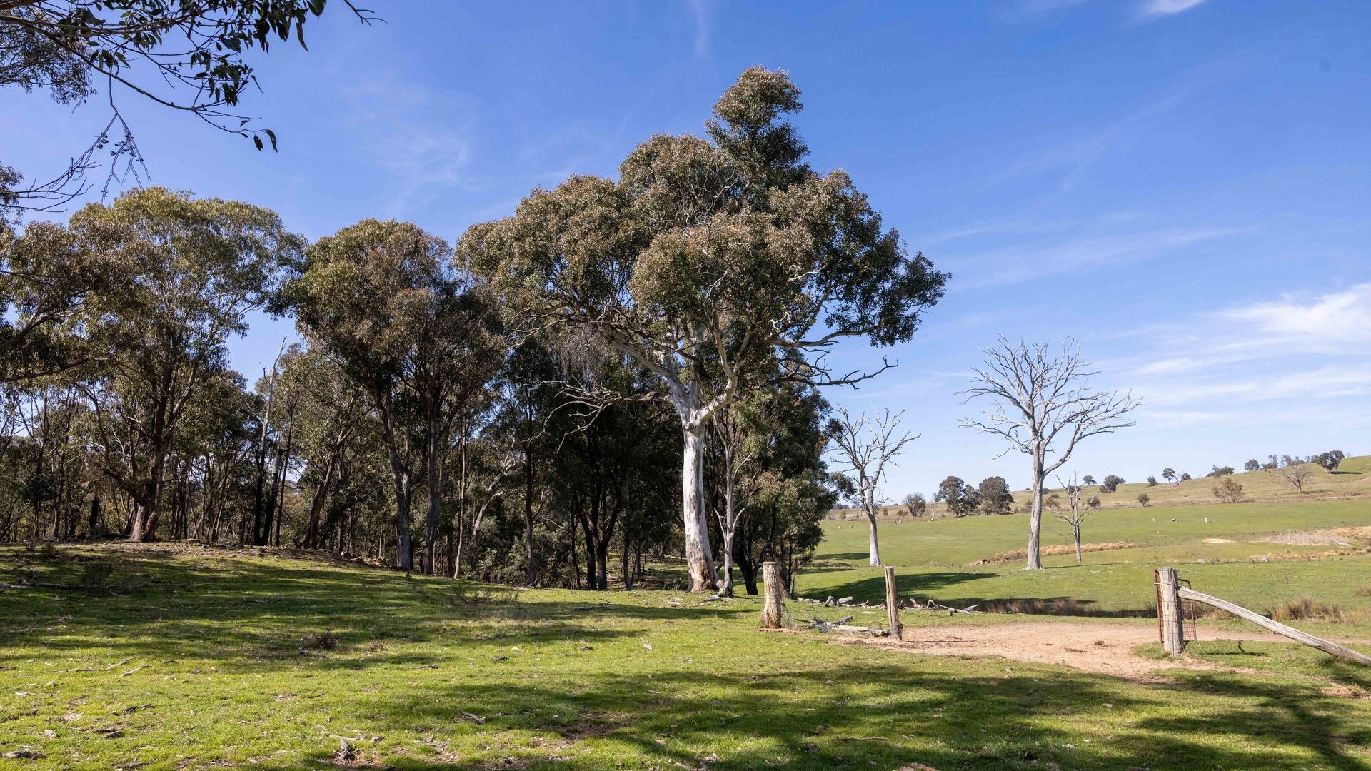 Sold - 528 Gundowda Road - New Property in Mudgee - Real Estate by Hamish Rowe