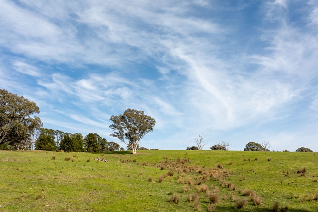 Sold - 528 Gundowda Road - New Property in Mudgee - Real Estate by Hamish Rowe