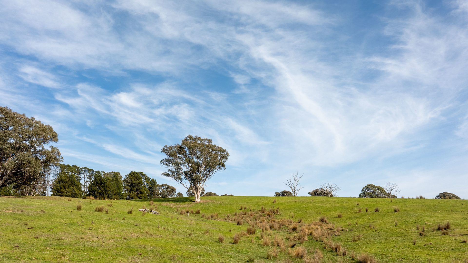 Sold - 528 Gundowda Road - New Property in Mudgee - Real Estate by Hamish Rowe