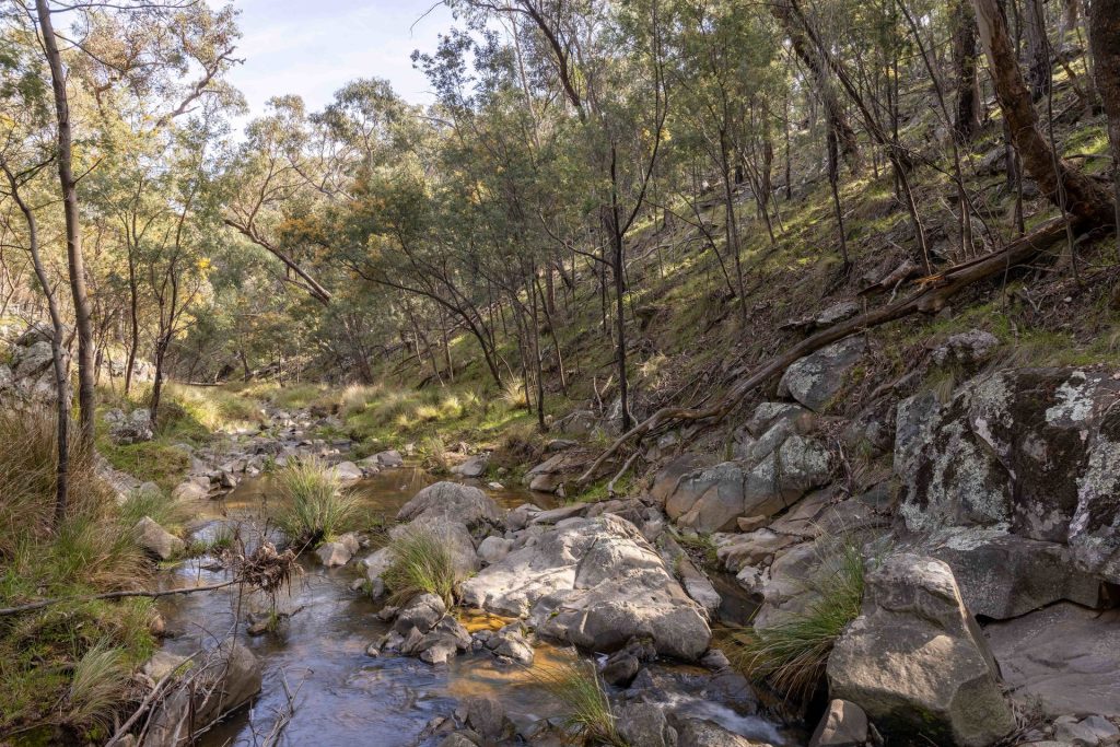 Sold - 528 Gundowda Road - New Property in Mudgee - Real Estate by Hamish Rowe