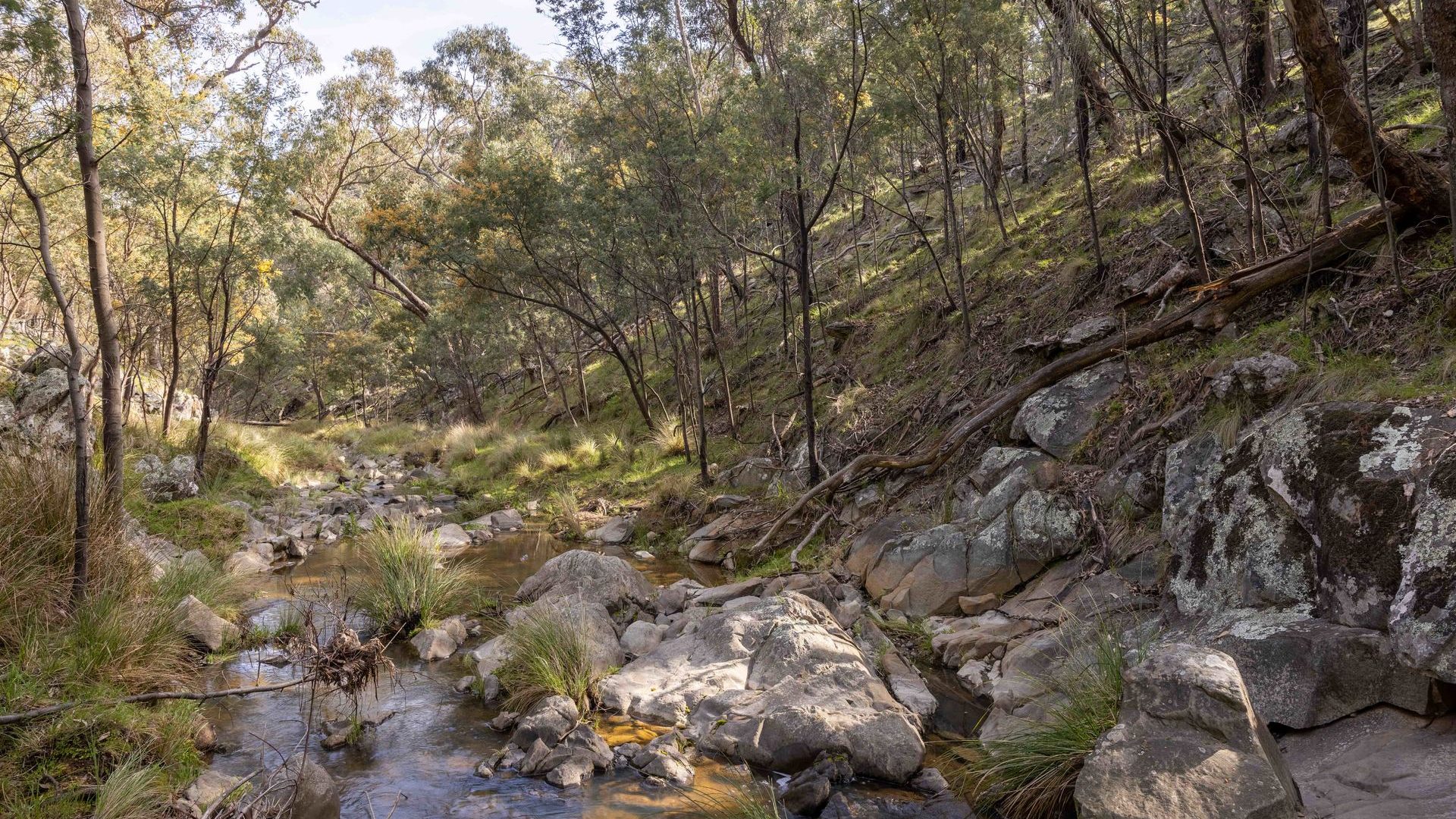 Sold - 528 Gundowda Road - New Property in Mudgee - Real Estate by Hamish Rowe